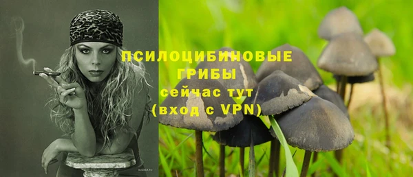 ALPHA PVP Переславль-Залесский