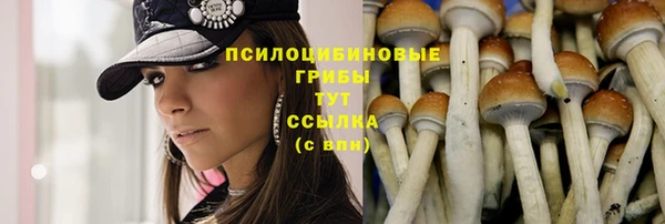 ПСИЛОЦИБИНОВЫЕ ГРИБЫ Пестово