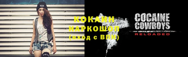мдпв Пересвет