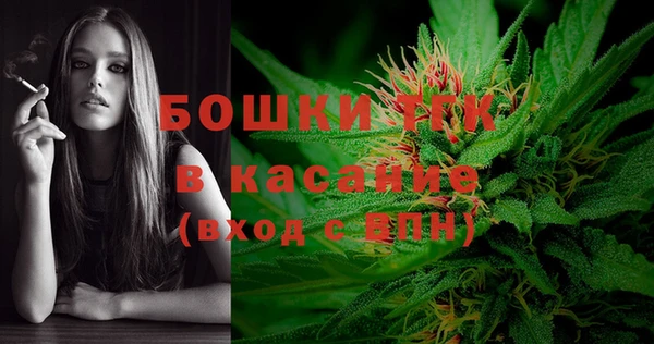 сатива Болотное