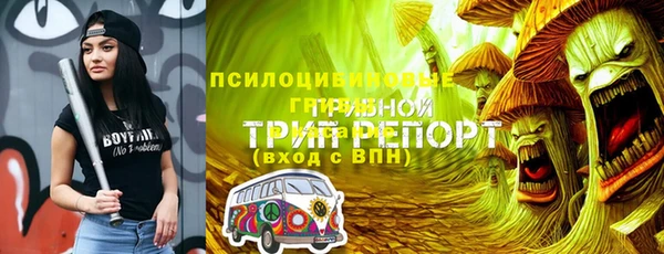 ПСИЛОЦИБИНОВЫЕ ГРИБЫ Пестово