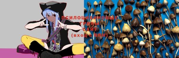 соль курить ск Болохово