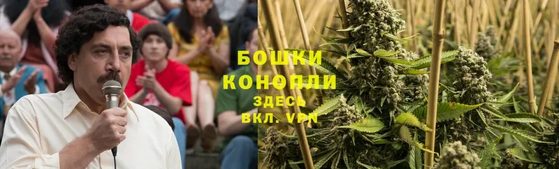 где можно купить   Белоярский  Канабис SATIVA & INDICA 